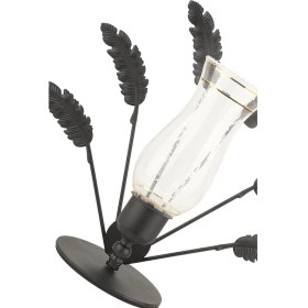 Resim Begüsa Beliz Camlı Metal Aksesuar Siyah 