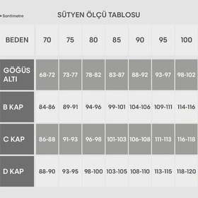 Resim Pierre Cardin Kadın Ten 7021 Balenli Toparlayıcı Minimizer Sütyen Ten 