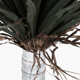 Resim Saksılı Silk Orchid Ağacı 170cm 