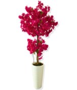 Resim Cihan Çiçekçilik Yapay Ağaç Fuşya Begonvil 190 Cm 56x30x20 Beyaz Kumsal Saksı 