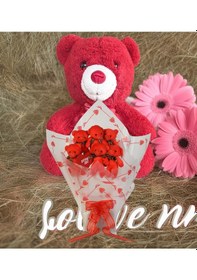 Resim Sevimli 35 Cm Peluş Ayı İle Premium Yumoş Kırmızı Peluş Ayıcık Buketi 