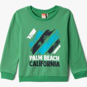 Resim Erkek Bebek Baskılı Sweatshirt Uzun Kollu Bisiklet Yaka 