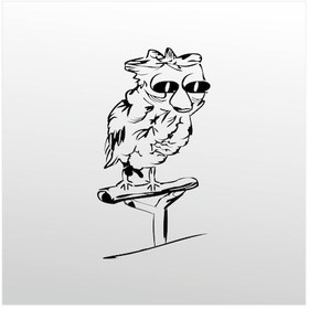 Resim Folyo Sticker Baykuş 200cm Uzunluk Siyah 