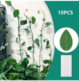 Resim Lebihmurah 2578 10 Adet Bitki Fikstür Klip Bitki Tırmanma Duvarı Kendinden Yapışkanlı Raptiye Bağlı Fikstür Karşılaşma 
