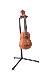 Resim Ukulele Standı 