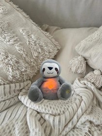 Resim Nefes Alan Uyku Arkadaşı Tembel Hayvan 