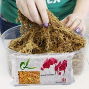 Resim Bitki yetiştirme, sürünen evcil hayvan yaşam alanı matı, mikro peyzaj, balık tankı peyzaj malzemeleri, toprak olmadan yetiştirme için 6.02/12.0 litre Sphagnum yosunu 