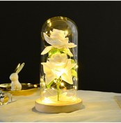 Resim Maiyame Led Işıklı Cam Kupa Gül Dekorasyonu - Beyaz Gül, Çam Ağaç Tabanlı, Romantik Ev Dekoru Hediyelik Öğe 