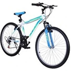 Resim OEM Belderia Tec Titan Dağ Bisikleti 24 Jant 21 Vites Mavi / Yeşil 48 cm Şehir Kullanımı İçin 