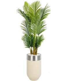 Resim Areka Palmiyesi 160cm Krem Gümüş Metal Darbuka Saksıda H 