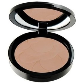 Resim Pastel Profashion Advanced Powder Pudra No:35 