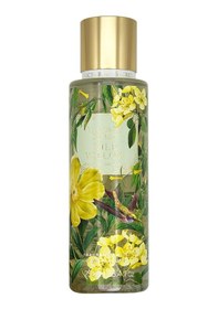 Resim Victoria's Secret Wild Willow Vücut Spreyi 250ml 