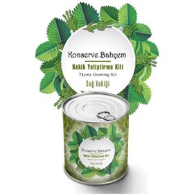 Resim Konserve Bahçem Konserve Bahçem Evde Konservede Kekik Dağ Kekiği Yetiştirme Kiti 