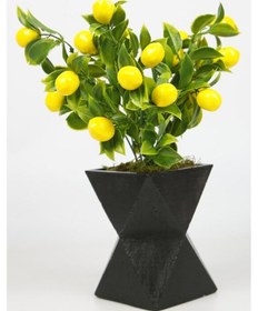 Resim Siyah Beton Saksıda Limon Ağacı Yapay Ağaç Vazoda Yapay Bitki Kahverengi 