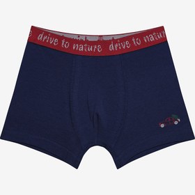 Resim Penti Erkek Çocuk Drive To Nature 2li Çok Renkli Boxer 