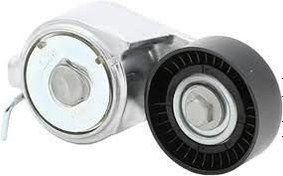 Resim Fiat Punto Alternatör Gergi Rulmanı 1.2-1.6 / 8V-16V Orijinal OPAR 55258443 