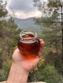 Resim Yabani Kekik Balı - 850 Gram 