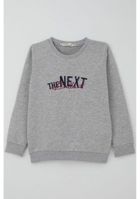 Resim Breeze Erkek Çocuk Sweatshirt Yazı Nakış Baskılı 5-10 Yaş, Gri Melanj Gri Melanj 