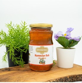Resim Köyceğiz Balı Narenciye Balı Cam Kavanoz 450 G 