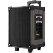 Resim Platoon Pl-4612 Mikrofonlu Bt, Sd, Usb Speaker 