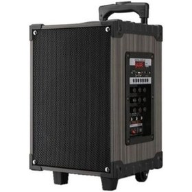 Resim Platoon Pl-4612 Mikrofonlu Bt, Sd, Usb Speaker 