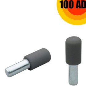 Resim Ayder Plastik Başlı Metal Raf Pimi (100 Adet ) 