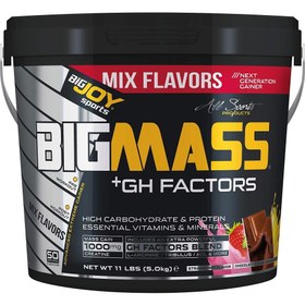 Resim BigJoy Sports Bigmass +GH Factors Muzlu 5 kg 