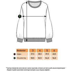 Resim Toontoy Kız Çocuk Baskılı Balon Kol Sweatshirt Pudra 