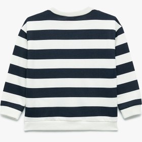 Resim Erkek Bebek Pamuklu Şardonlu Uzun Kollu Bisiklet Yaka Dinozor Baskılı Çizgili Sweatshirt 