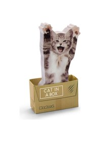 Resim Mustard Kedi Notluk 