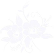 Resim Beyaz D-798 Araba Plakası Geniş Uygulama Güneşe Dayanıklı Düz Renk Otomatik Yansıtıcı Çiçek 