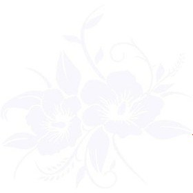 Resim Beyaz D-798 Araba Plakası Geniş Uygulama Güneşe Dayanıklı Düz Renk Otomatik Yansıtıcı Çiçek 