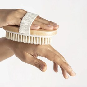 Resim LTG Nova Egonex At Kılı Vücut Fırçası 