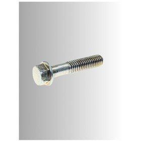 Resim Honda Titan Civata Statör Kapak 6x32 Or. 