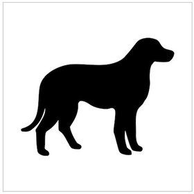 Resim Köpek Folyo Sticker Derstv880 100cm Uzunluk Siyah 