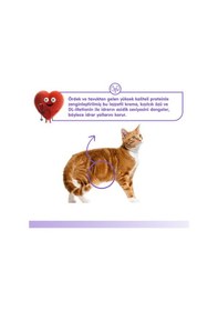 Resim Üriner Sistem Kedi Ödül Maması Ördek & Tavuk Kedi Ödül Kreması 5x14gr 