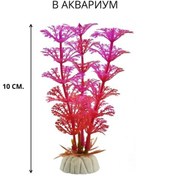 Resim Sahte Akvaryum Bitkisi, 10 Cm 299444209 