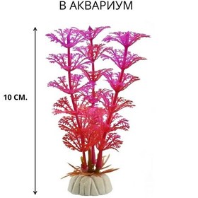Resim Sahte Akvaryum Bitkisi, 10 Cm 299444209 