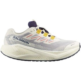 Resim Salomon Kadın Gri Aero Blaze 3 Grvl Koşu Ayakkabısı L47974100 