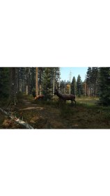 Resim Dayz PS4 Oyun 