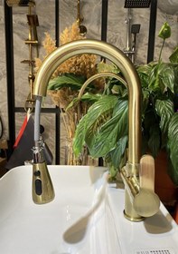 Resim İsaoğlu Yapı Arıtmalı Mutfak Bataryası Mat Gold Evye Musluğu Spiralli Arıtmalı Mat Altın Batarya Uzayan Sistem Gold 