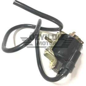 Resim CSR Bobin Ateşleme CD100 