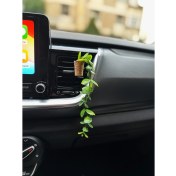 Resim Plantarrium Design Oto Aksesuar/koku-Yapay Okaliptus 