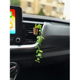 Resim Plantarrium Design Oto Aksesuar/koku-Yapay Okaliptus 