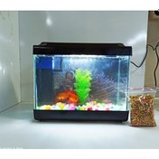 Resim Hediyelik Mini Akvaryum Full Set 