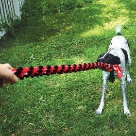 Resim Kong Signature Rope Çift Düğümlü İp Köpek Oyuncağı 101 Cm 