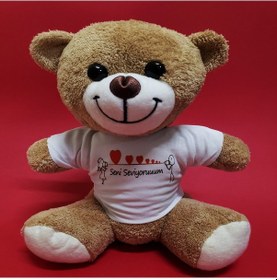 Resim Universal Seni Seviyorum Temalı Peluş Ayıcık 