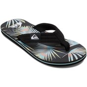 Resim Quiksilver Molokai Layback Erkek Terlik 