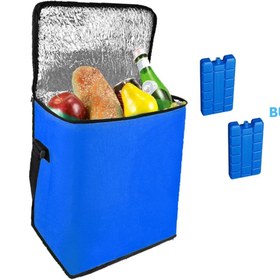 Resim eryatex Sıcak Soğuk Korumalı 22 Lt Piknik Gıda Taşıma Kamp Avcı Çantası Termos Özellikli Çanta 