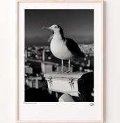 Resim Martı Poster 